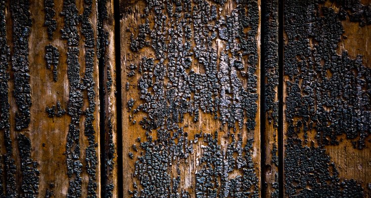 Restore burnt wood before painting.