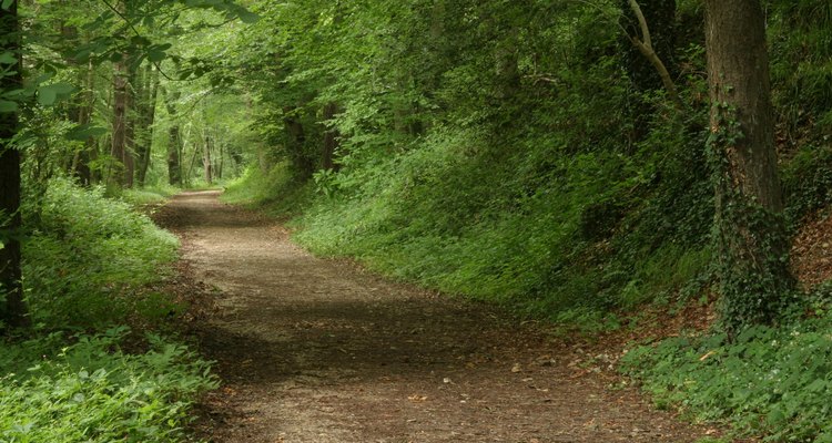 Los caminos de la isla son ideales para montar en bicicleta.