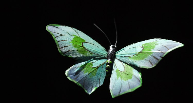 Wish a butterfly enthusiast a happy birthday with a butterfly cake.