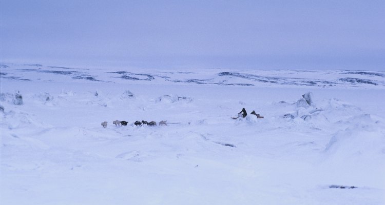 Los Inuit sobrevivieron en el frío extremo.