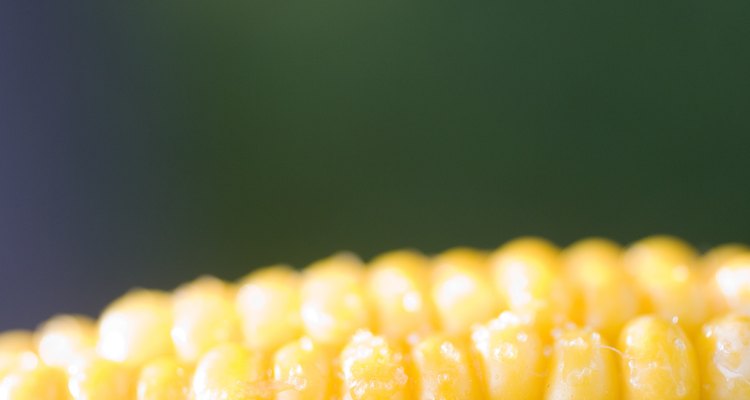 Cook corn-on-the-cob in the oven with or without the husks in place.