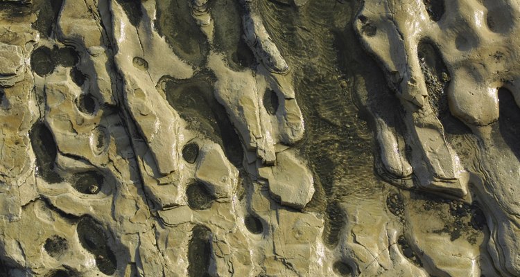Sandstone is a sedimentary rock common through southwestern regions of the United States.