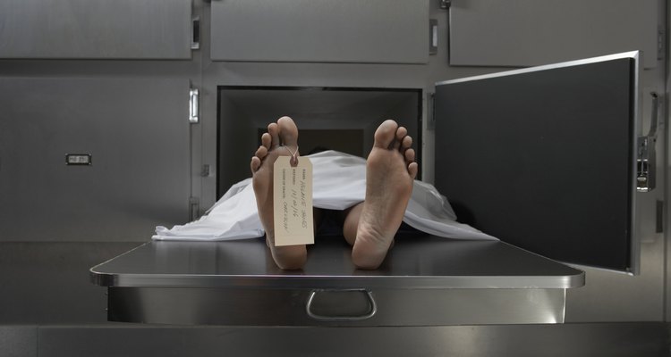 how-to-become-a-mortician-trainee-in-the-uk