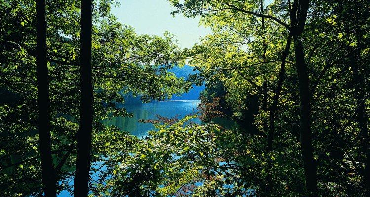 El lago Fontana tiene una costa virgen.