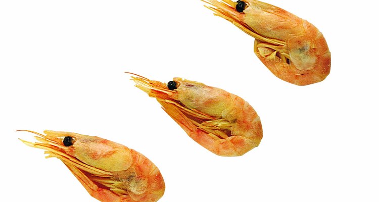 Acclimatise the prawns to their new environment