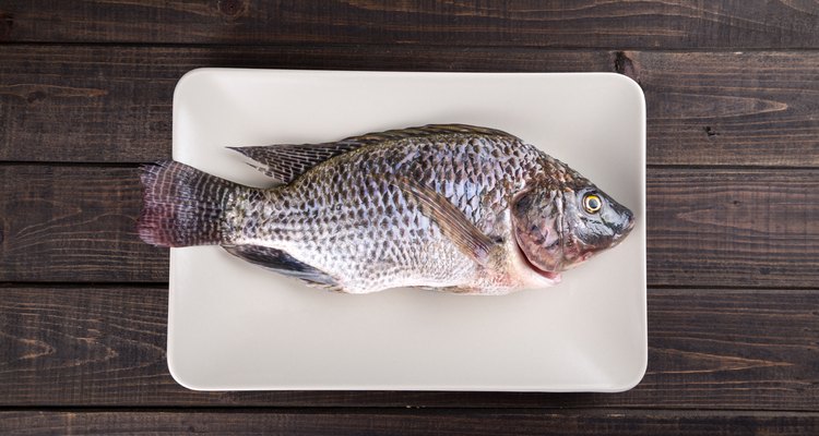 Tilapia