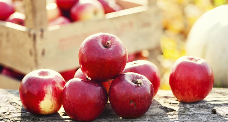 Red group of apples form autumn golden harvest
