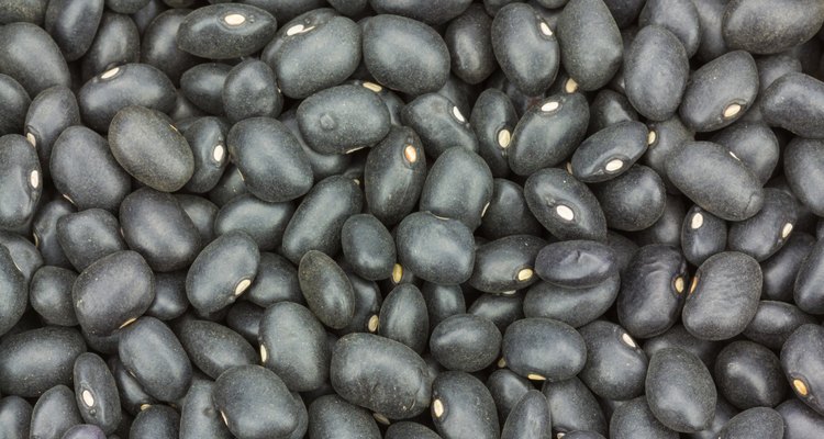 close up black beans for background