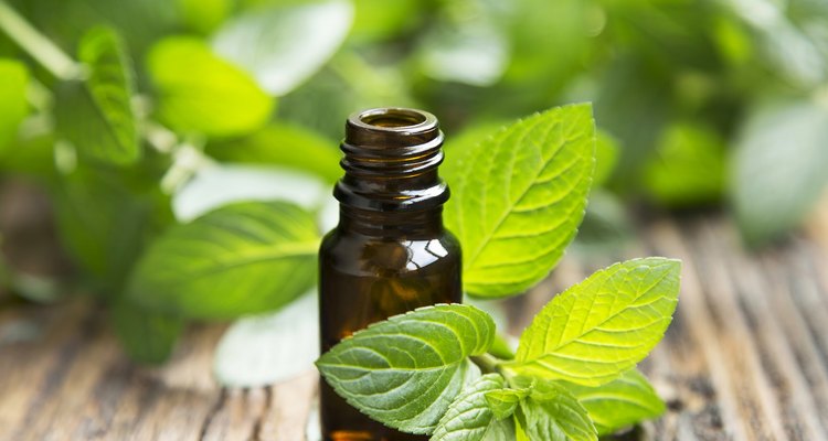 Natural Mint Essential Oil in a Little Glass Bottle