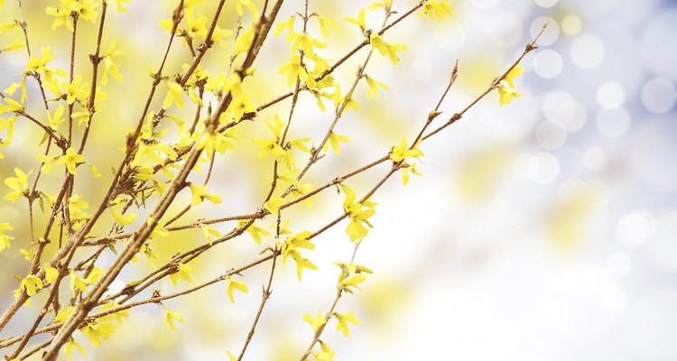 Blooming great.