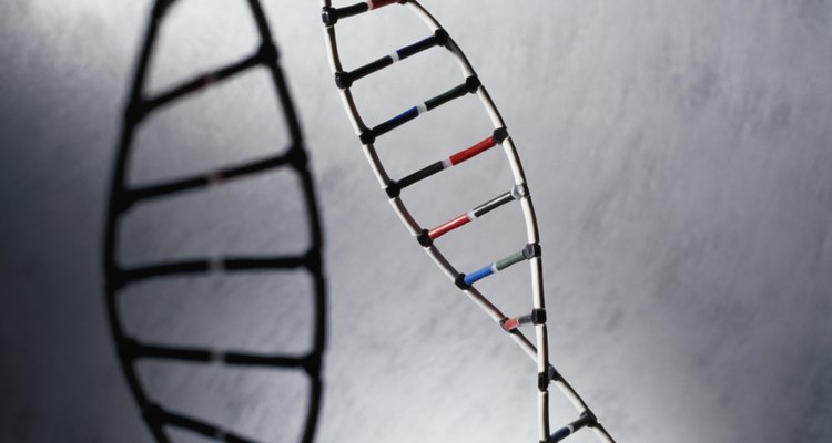 Though all three are proteins, they differ at the molecular level.