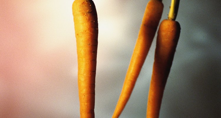 Las zanahorias no se pueden cultivar de manera hidropónica.