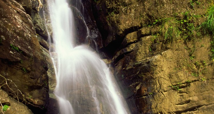 La cascada de la Mina fluye a través de la Reserva Nacional El Yunque.