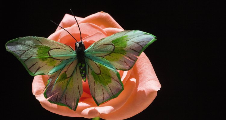 Los animales, como las mariposas, son esenciales en la propagación de las células sexuales masculinas de las plantas.