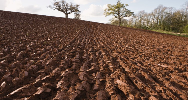 Los suelos varían de un lugar a otro dependiendo a los materiales originales.