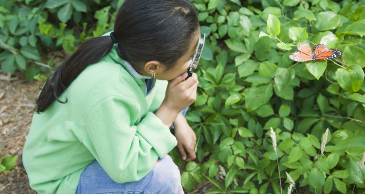 Uma menina observa uma borboleta com uma lupa