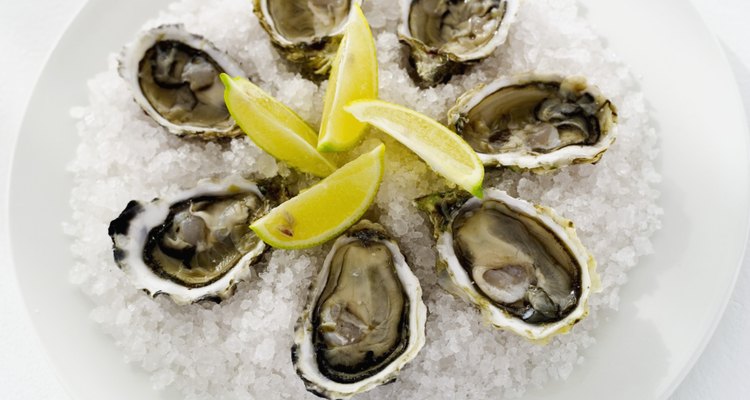 Elevated view of oysters served on ice