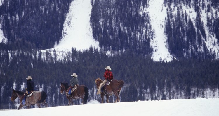 Explora a caballo las 365 millas de senderos dentro de las locaciones de Olympic National Park.