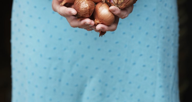 Shallots are an important ingredient in many recipes.