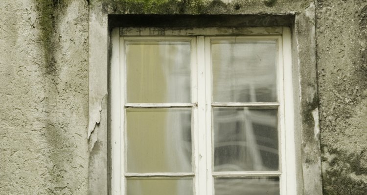 Remove moss before it damages your home.