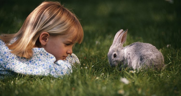 Los conejos son una mascota popular.