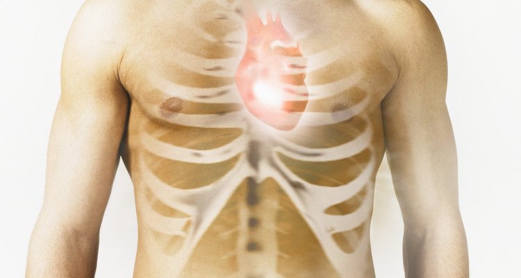 O coração é um músculo poderoso que bombeia nutrientes e oxigênio pelo seu corpo