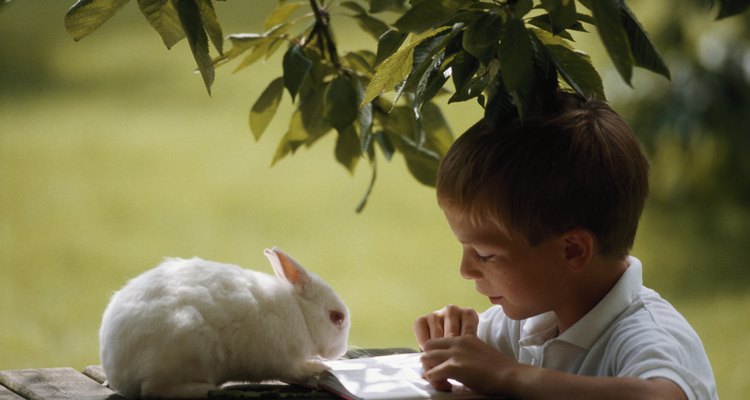 Los conejos son criaturas interesantes que pueden fascinar a los niños.