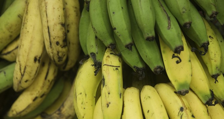 Se uma pessoa é alérgica à ambrósia, deverá evitar a banana
