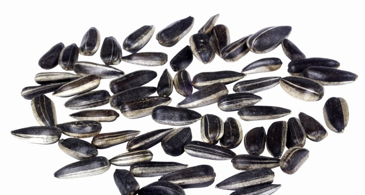 Cover your grass seed after sowing.