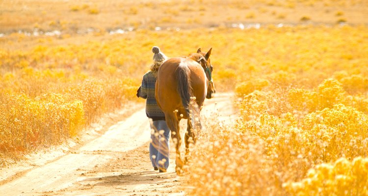 Uma caminhada com seu cavalo é um ótimo modo de construir uma relação