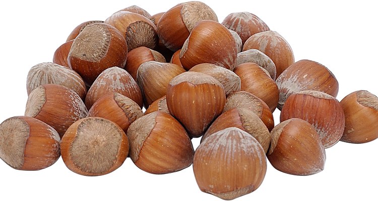 Hazelnuts are also called filberts.