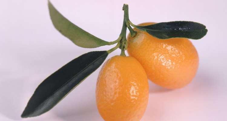 El kumquat es rico en vitamina C y ácido fólico.