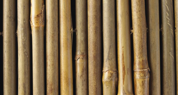 Las cañas de bambú se utilizan para muchos propósitos en el jardín.