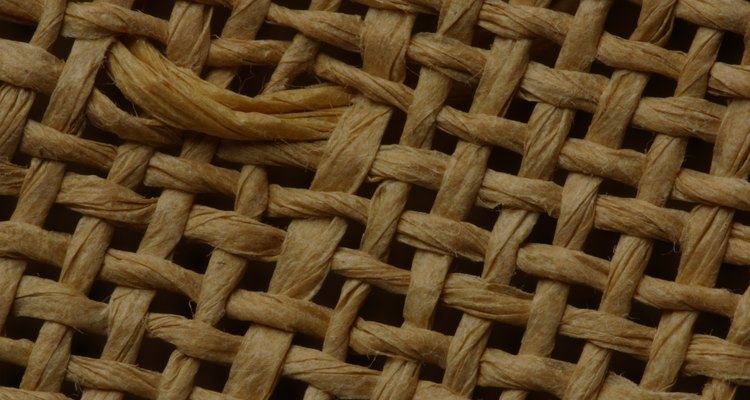 Prevent winter damage with a barrier constructed of burlap.