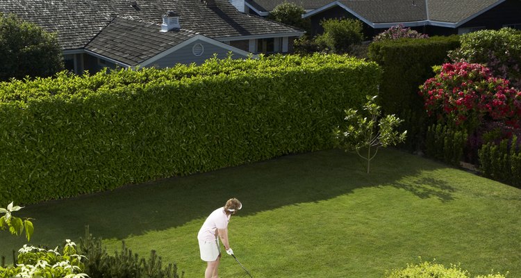 Los jardines sobre el techo son poco comunes.