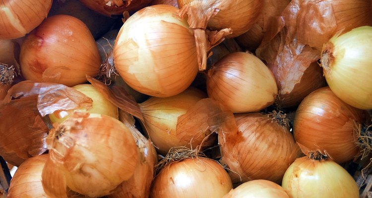 Las cebollas "picantes" también se denominan cebollas para almacenamiento.