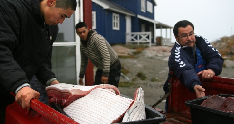 Retreating Ice Fields Impact Native Greenlanders