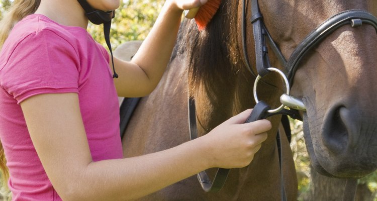 Los niños aprenderán a cabalgar y cuidar los caballos en los campamentos de verano en Michigan.