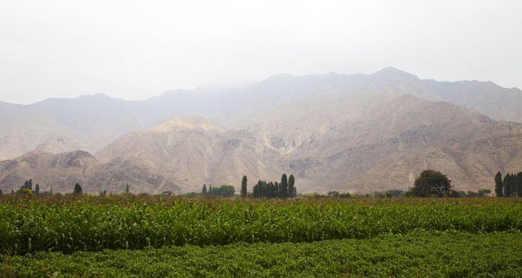 A piece of farmland may make the perfect site for a country home.