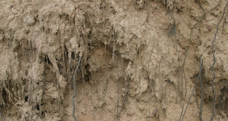 La capacidad de amortiguación es una propiedad importante de los suelos.