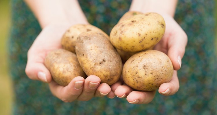 Hands holding some potatoes