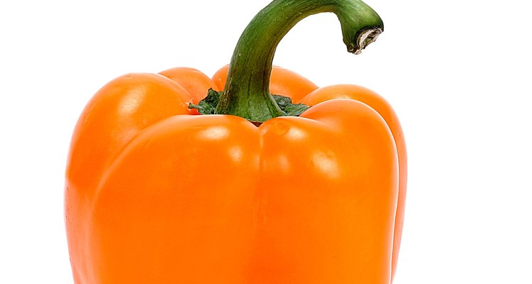 No importa que color de pimiento estés cosechando, alimentar a la planta correctamente es esencial.