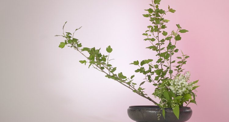 Los arreglos de ikebana siguen líneas simples y agradbles.