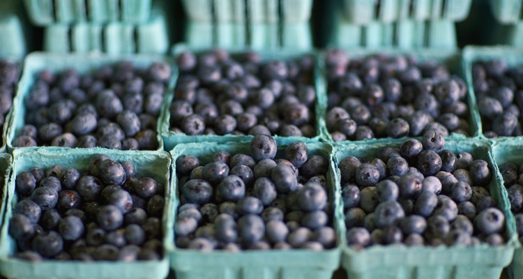 Blueberries in Cartons