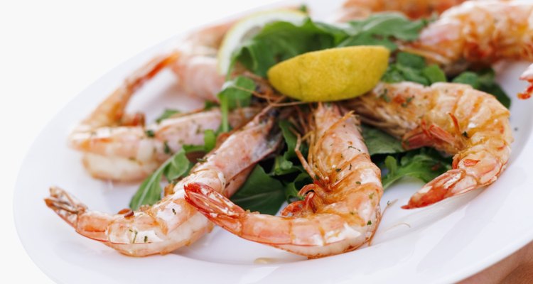 Feeding the prawn