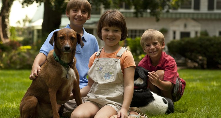 Las mascotas forman parte de una familia.