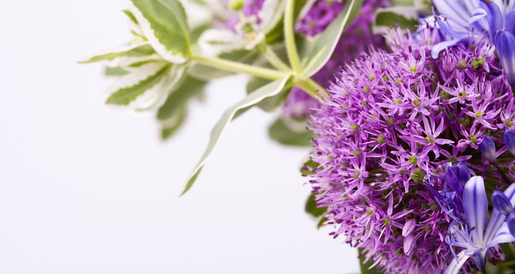 Fragrant ironing water adds a fresh scent to clothing.