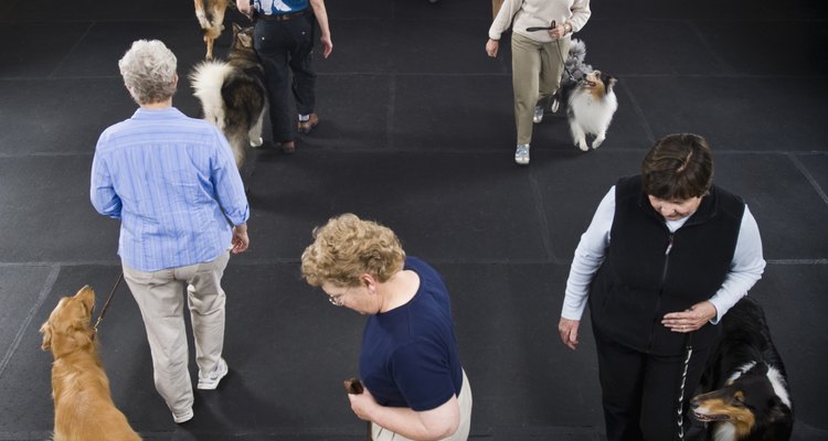 Many industrial flooring solutions are also wallet-friendly for large indoor training facilities.