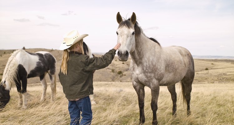 Composted horse manure can benefit a garden.