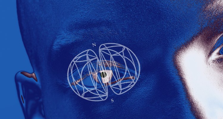 As órbitas são cavidades ósseas do crânio que abrigam os olhos